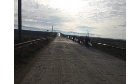 Activitati curatenie comuna