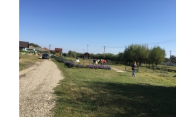 Activitati curatenie comuna