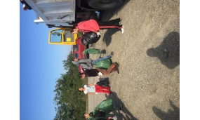 Activitati curatenie comuna